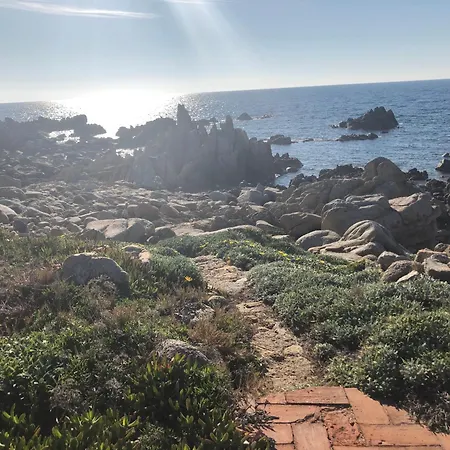 Wild Blue Sardinia * Santa Reparata