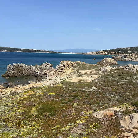 Wild Blue Sardinia Guest house Santa Reparata