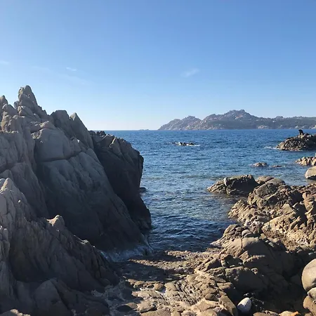 Wild Blue Sardinia *